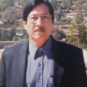 Profile image of Prof. Amarendra Rajput